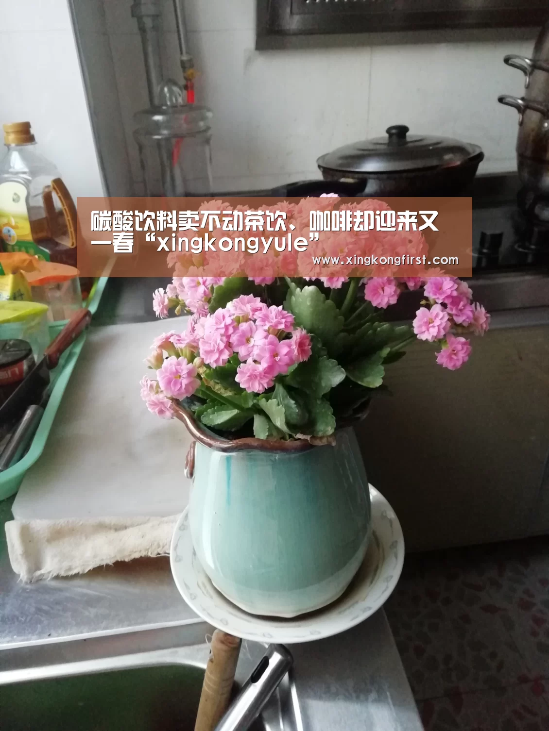 星空体育娱乐